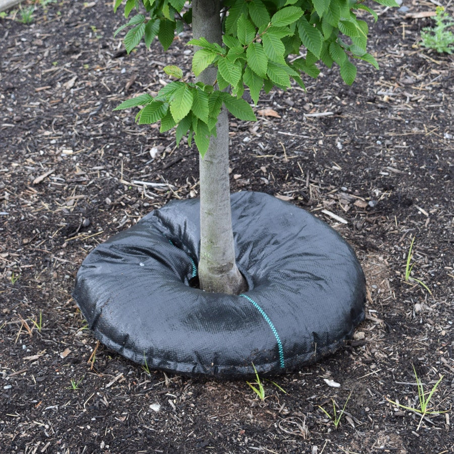 TreeDiaper® Hydration System